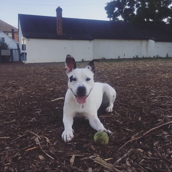 Hi!!! ☺️ - Picture 3 of 4